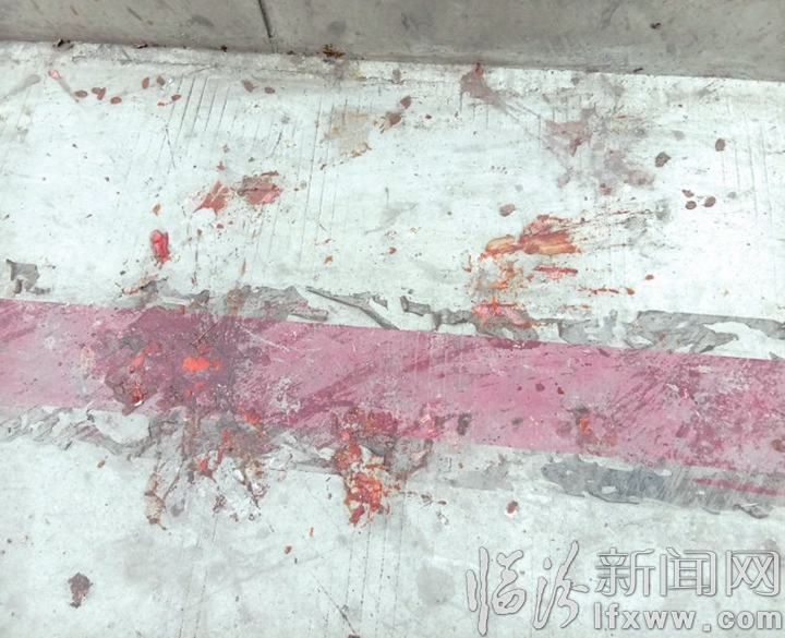 临汾:这些柿子谁来摘?