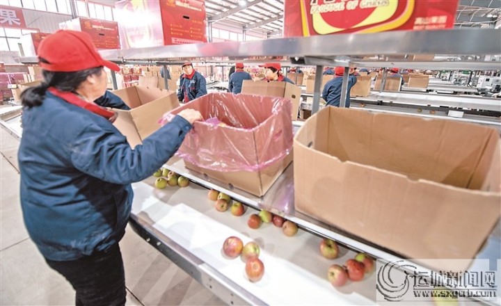 “王万保”果品种植专业合作社——依托高科技助力苹果提质上档