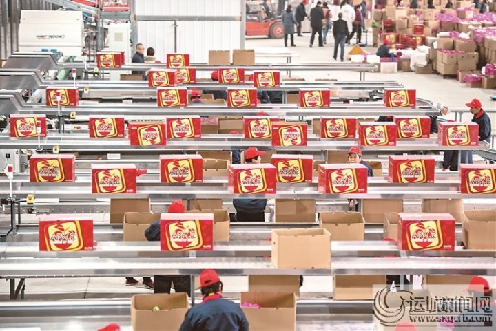 “王万保”果品种植专业合作社——依托高科技助力苹果提质上档