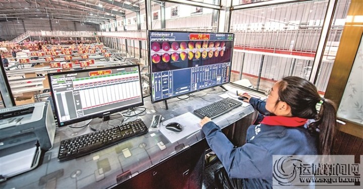 “王万保”果品种植专业合作社——依托高科技助力苹果提质上档