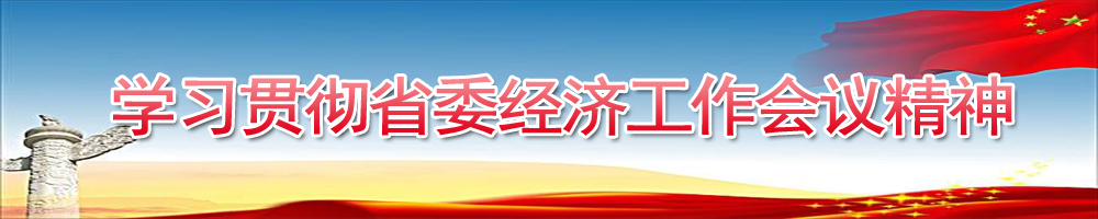 学习贯彻省委经济工作会议精神