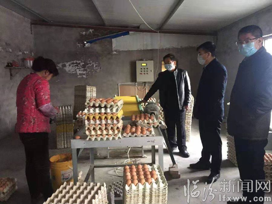 临汾各县农业农村局开展重大动物疫情防控执法检查