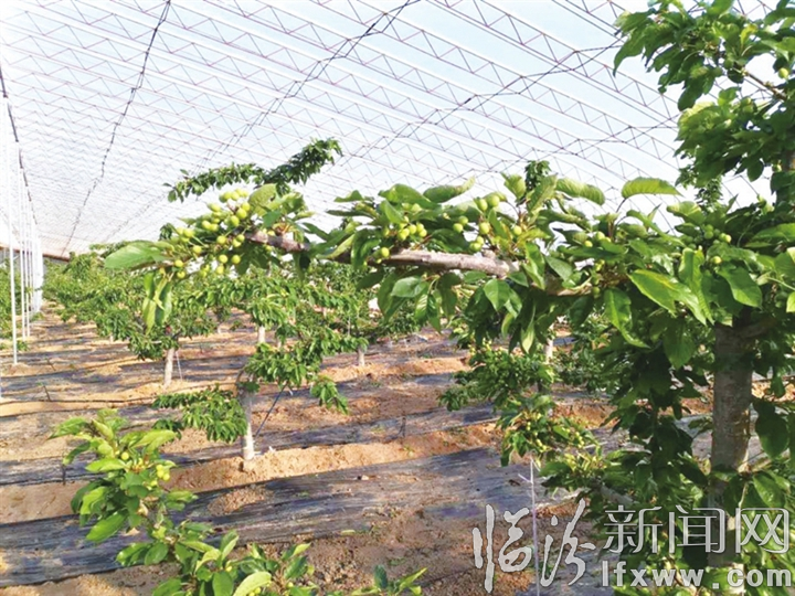 翼城:抗击疫情不可懈怠 经济发展时不我待