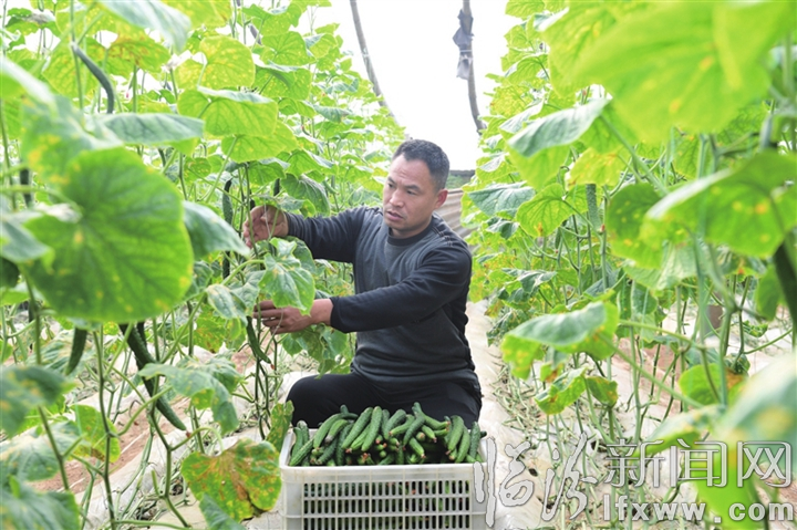 临汾:同心战“疫” 全力复产