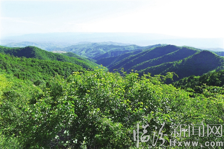 吉县:妙手绘就生态锦绣图