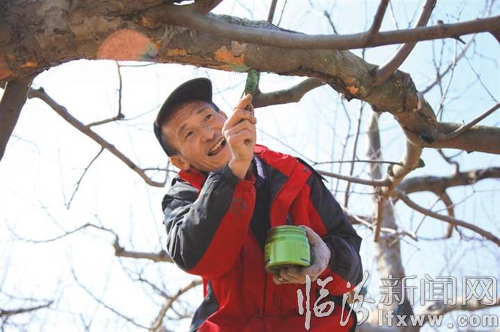 吉县:妙手绘就生态锦绣图