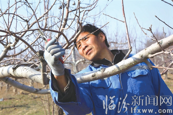 吉县:妙手绘就生态锦绣图