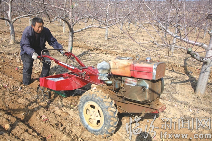 吉县:妙手绘就生态锦绣图