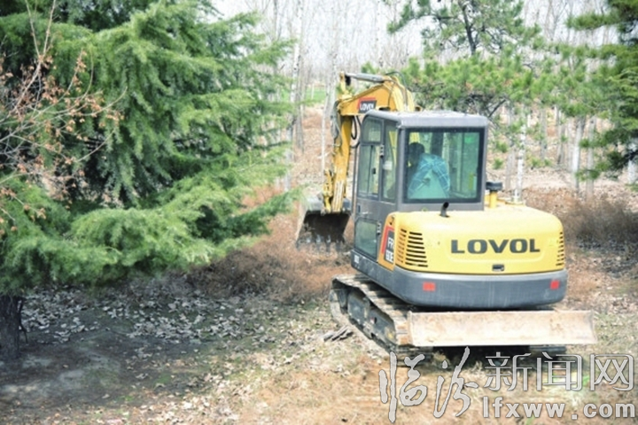 尧都区: 战疫情 治环境 谋新篇