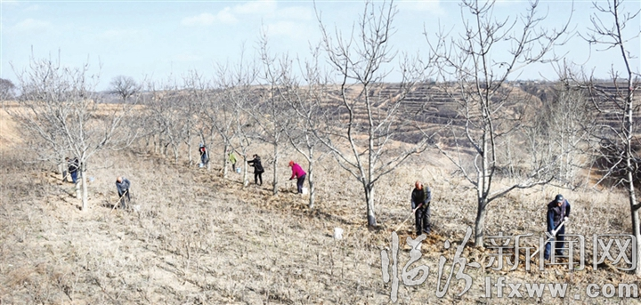 古县:2020年重点项目集中开工仪式举行