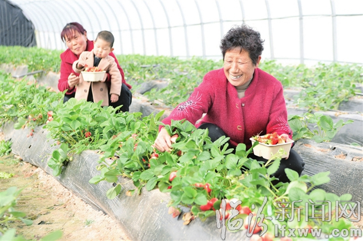 古县:2020年重点项目集中开工仪式举行