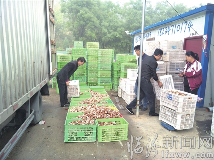 翼城县:春风起 农事忙 锚定发展加油干