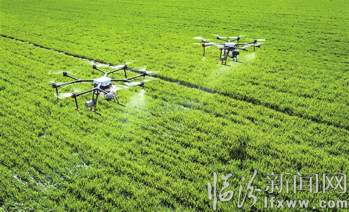 翼城县:春风起 农事忙 锚定发展加油干