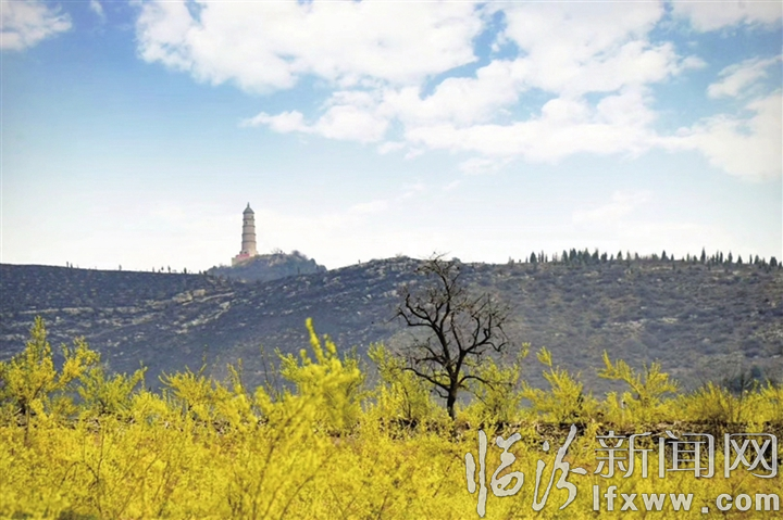 翼城县:春风起 农事忙 锚定发展加油干