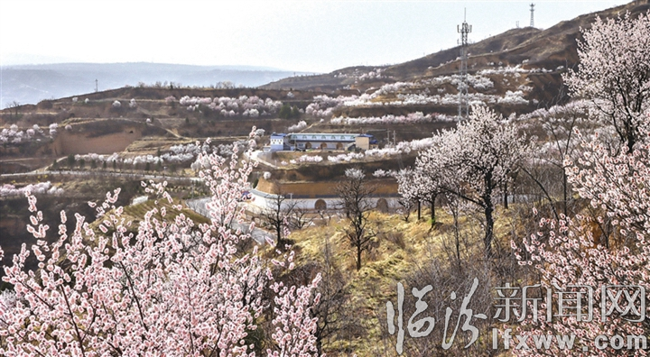 吉县:吹响全域旅游示范县创建号角