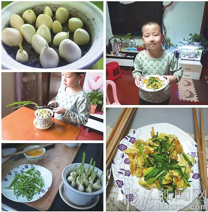 临汾日报小记者:跟着万能叔叔一起“水培蔬菜”吧!