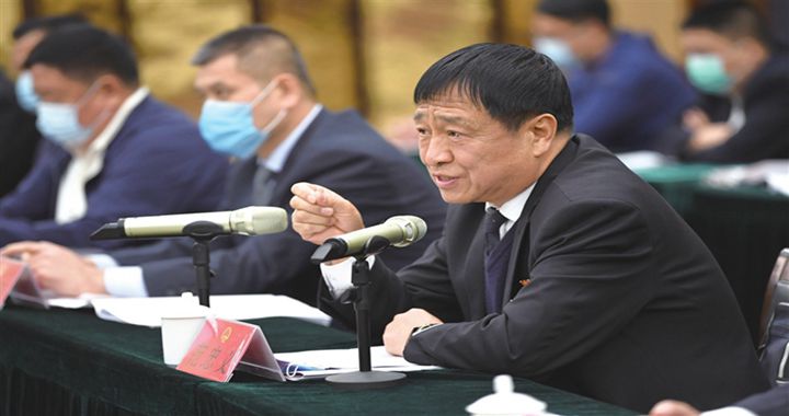 两会影像：认真履职 建言献策