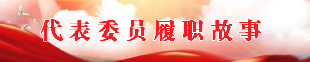 代表委员履职故事