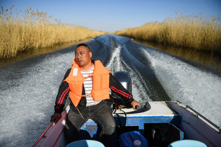 半月谈丨乌梁素海生态隐患何解