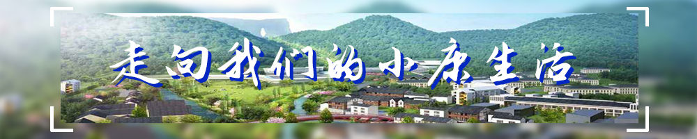 走向我们的小康生活