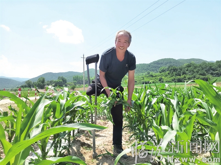 隰县张来贵:独行侠脱贫记