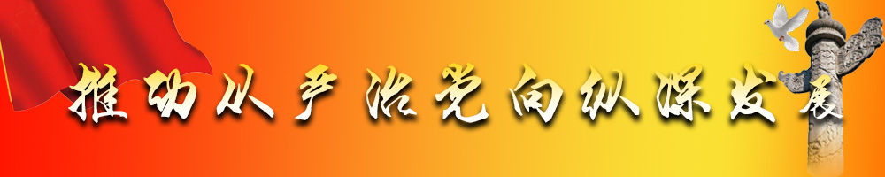 推动从严治党向纵深发展