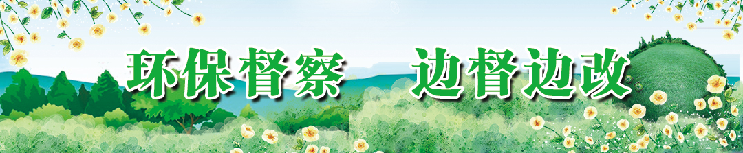 环保督察 边督边改