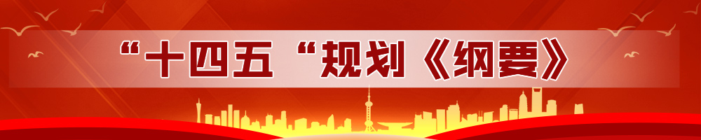 “十四五”规划《纲要》