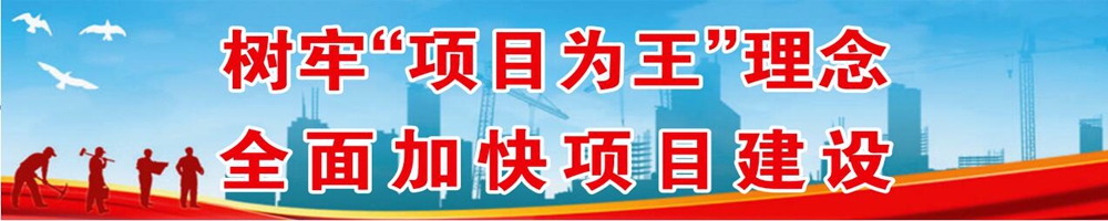 树牢“项目为王”理念 全面加快项目建设