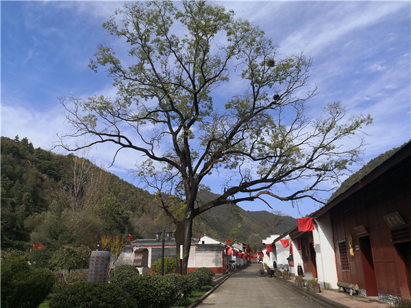 已经是最后一页了