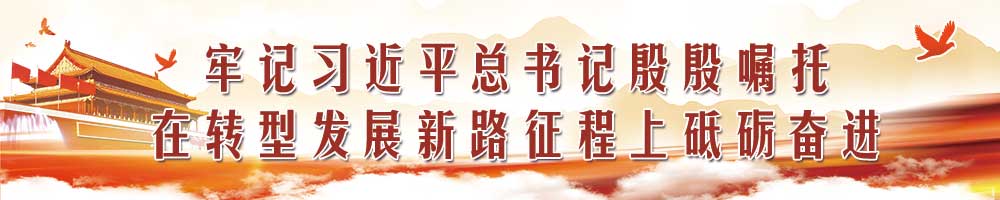 牢记习近平总书记殷殷嘱托  在转型发展蹚新路征程上砥砺奋进