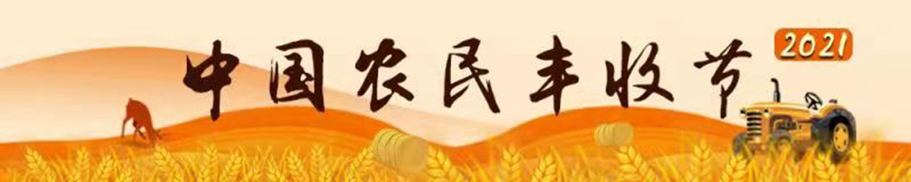 2021中国农民丰收节