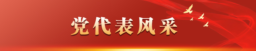 党代表风采