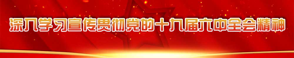 深入学习宣传贯彻党的十九届六中全会精神