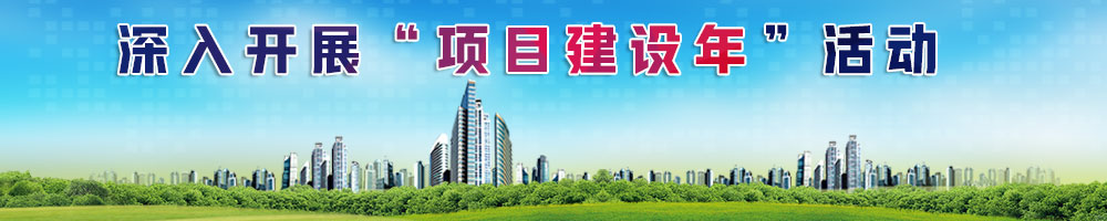 深入开展“项目建设年”活动