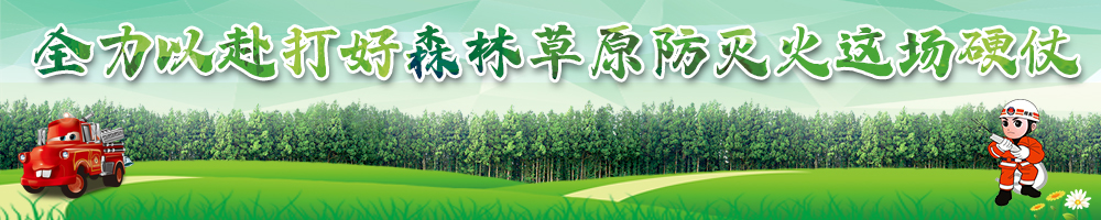 全力以赴打好森林草原防灭火这场硬仗