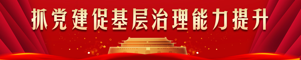 抓党建促基层治理能力提升