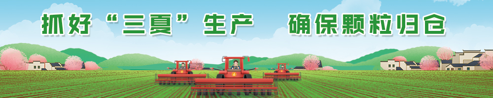 抓好“三夏”生产 确保颗粒归仓