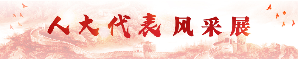 人大代表风采展