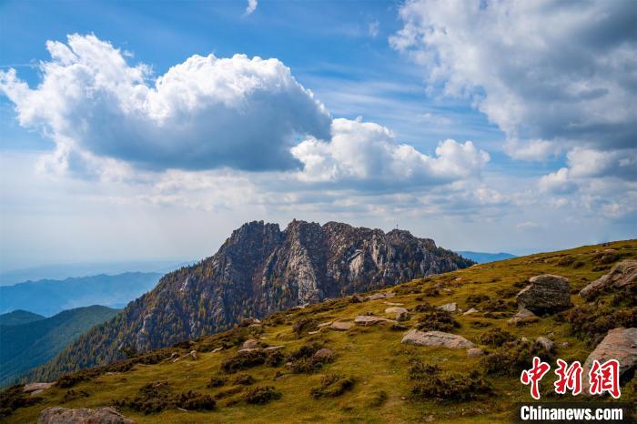 “空中草原”马仑拥有3000余亩草甸。　马梦迪 摄