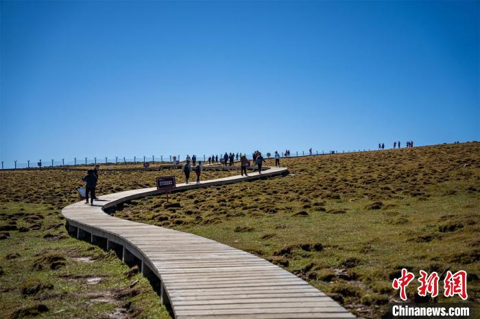 游人正在马仑草原游览。　马梦迪 摄