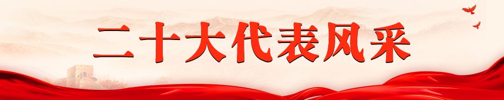 二十大代表风采