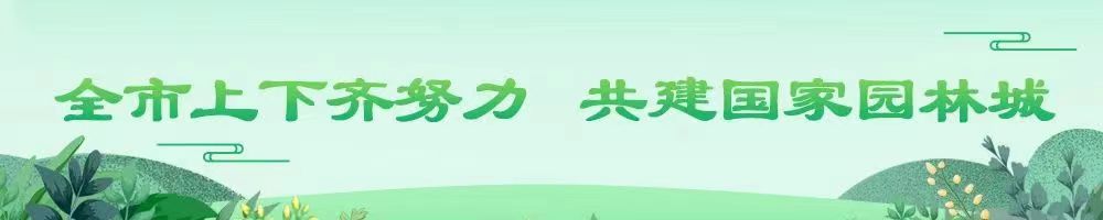 全市上下齐努力 共建国家园林城