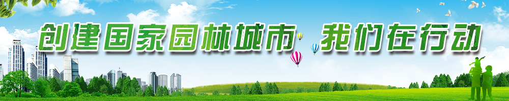 创建国家园林城市 我们在行动