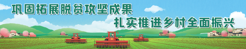 巩固拓展脱贫攻坚成果 扎实推进乡村全面振兴