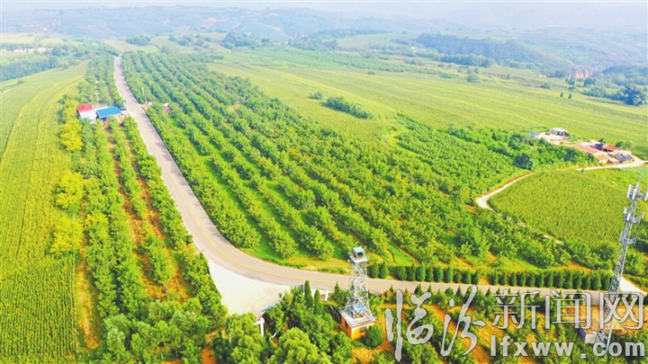 发挥优势 美丽乡村展现新颜值.jpg