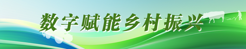 数字赋能乡村振兴