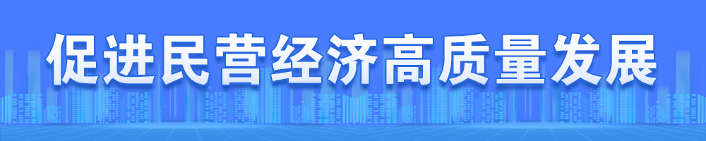 促进民营经济高质量发展