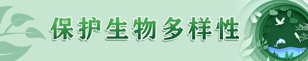 保护生物多样性