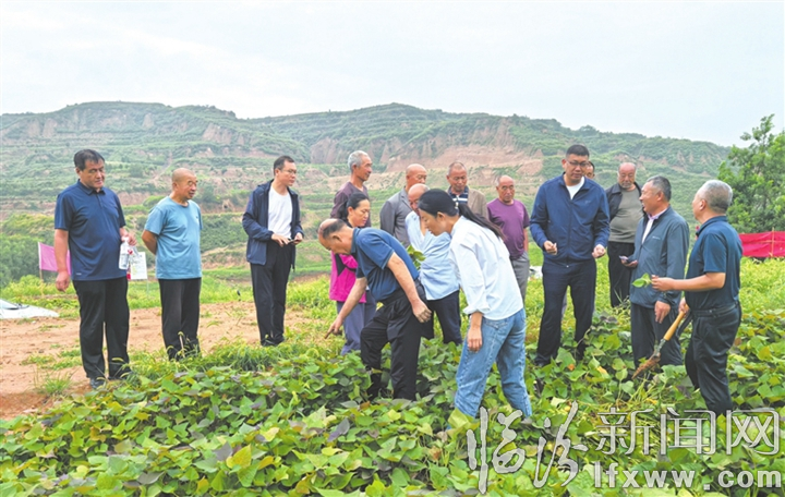 山西农大专家团队赴汾西开展技术帮扶.jpg